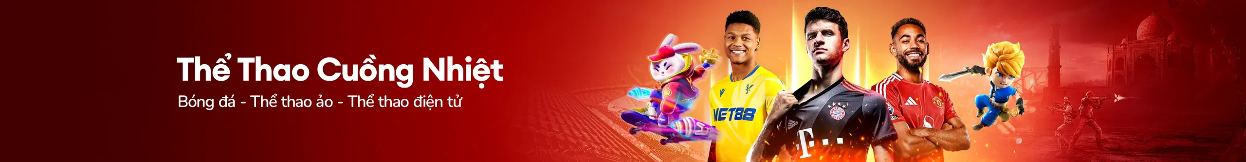 Banner image